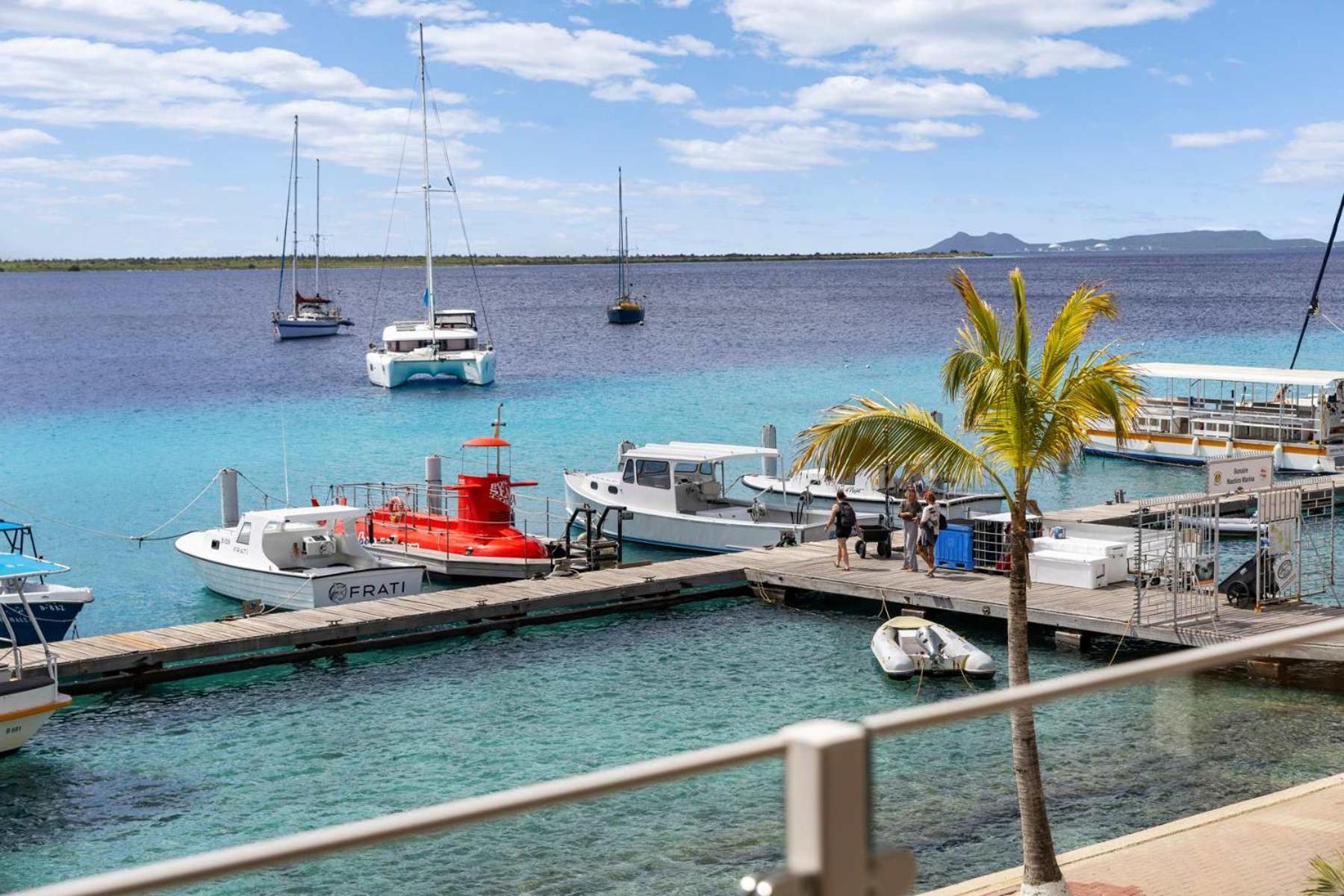 Seaview Caribe With Fantastic Sea Views And Close To The Best Restaurants Appartement Playa Buitenkant foto